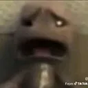 sharkboi98