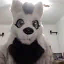 coolstreamer