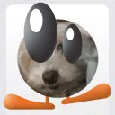 jxmmy0