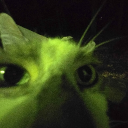 avatar yoink