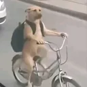 yxnraw1yyw5h