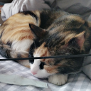 morningoxi033china918's Avatar