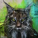 lynx862