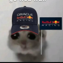 avatar Jackie ᥫ᭡