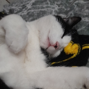 avatar Jackie ᥫ᭡