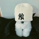 imexploitguy