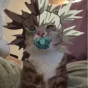 jr.avees