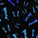 mark_17148