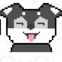 cockyshiba2604