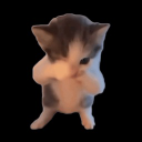 Kind4_Tom