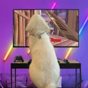 twixlwk