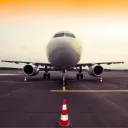 sir_ankka