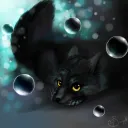 ShadowVulpes avatar