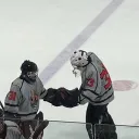 hockeygoalie5131