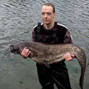 catfishandcarp