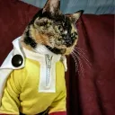 onecat_man avatar
