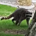 tobykksth6624