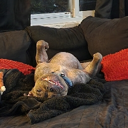 billybehemoth92's Avatar