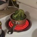 tcthefish