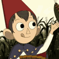 kingyokiiro