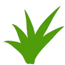 kusa0000