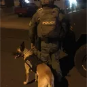 aris.0017