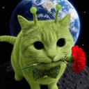 Discord Avatar