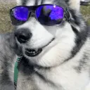 cmcayman