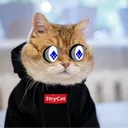 starstrydxr