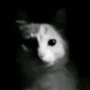 avatar skiz
