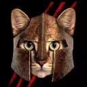 meowidus6500