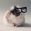 avatar asdsasafdsfsd;l;awdlsaf;l;[[;[;[