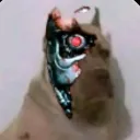 sebasgg5681 avatar