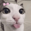 avatar ྀི Chocola