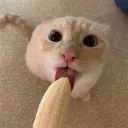taadn