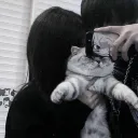 ierkitten avatar