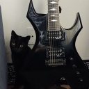 avatar phenomenal_glory73563