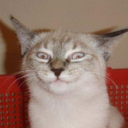 avatar kat the dweller