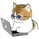 getmycats