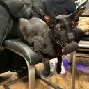 Аватар brabus77721