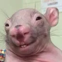 itzhelsy