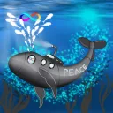 icdreamwhale