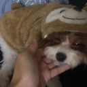 avatar 對方已撤回一條母愛