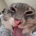 avatar la petite chérie ྀིྀིྀ