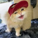 rodentsrcool