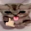 catrex3mk