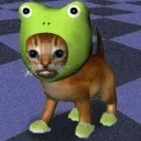 ameel_ avatar