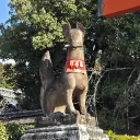 pma10
