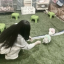 avatar ss