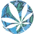 cannabisgeographic